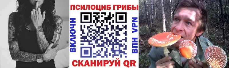 Галлюциногенные грибы Cubensis дарнет шоп Жуковка